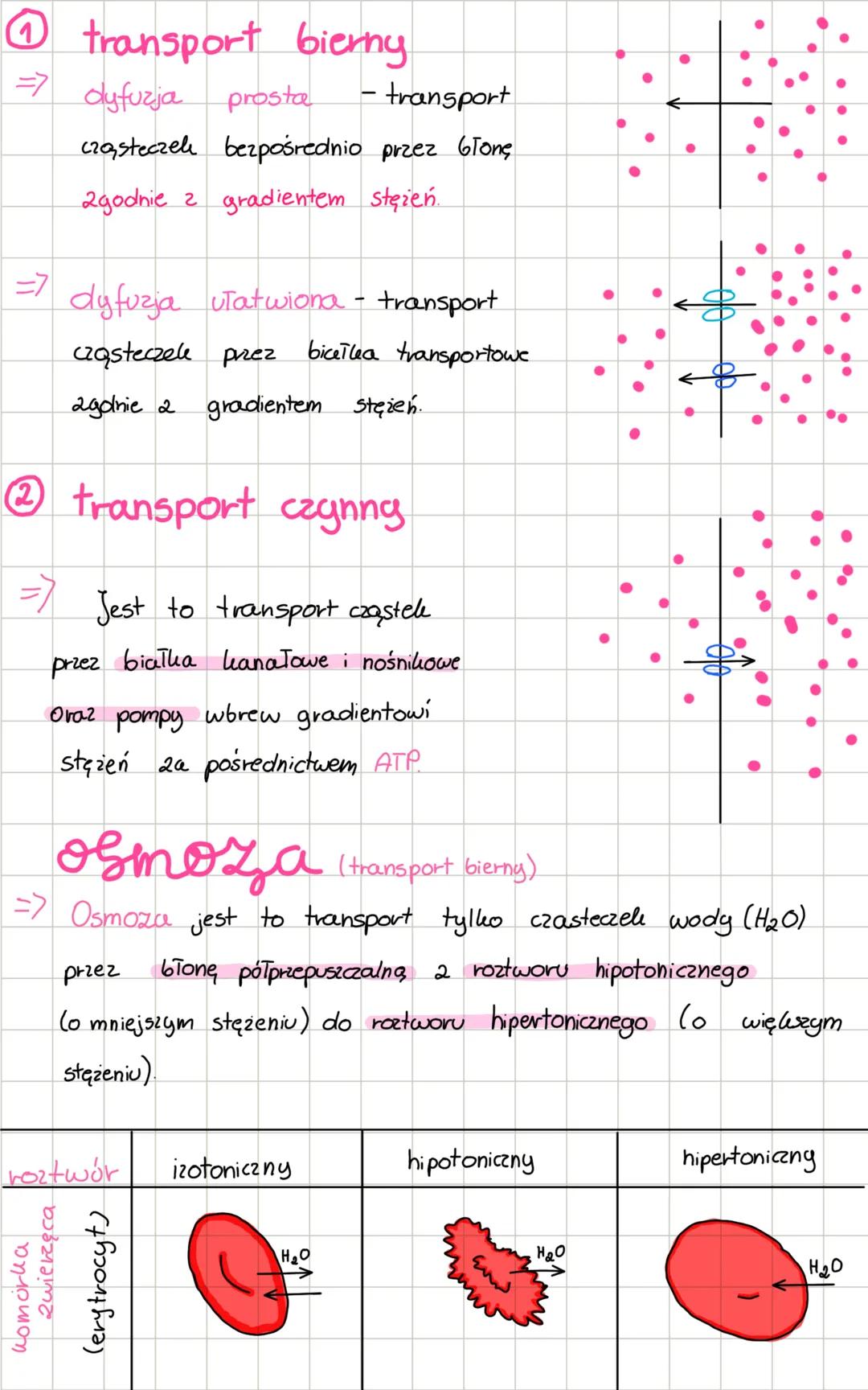 Essologia
Bouclowa
fosfolipid
bialho integralne
Stony
fromórkowe
globali as
transblonowe
cholesterol
glilolipid
biatlo
integralne
biaTho
pow