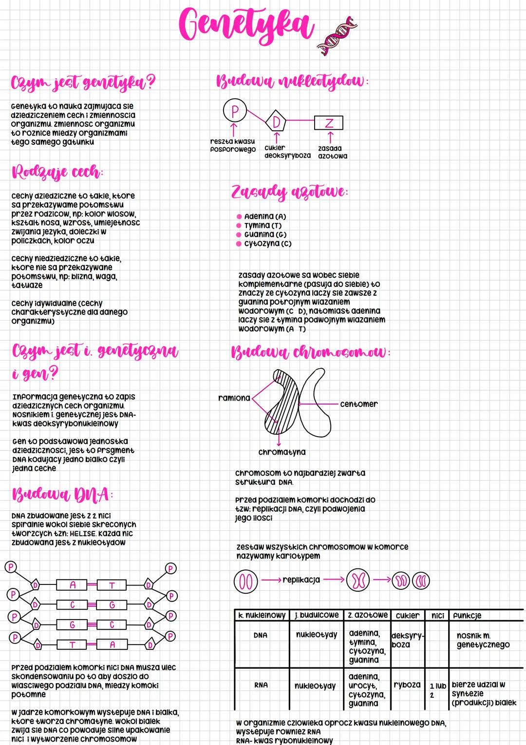Czym jest genetyka?
Genetyka to nauka zajmujaca sie
dziedziczeniem cech i zmiennoscia
organizmu. zmiennosc organizmu
to roznice miedzy organ