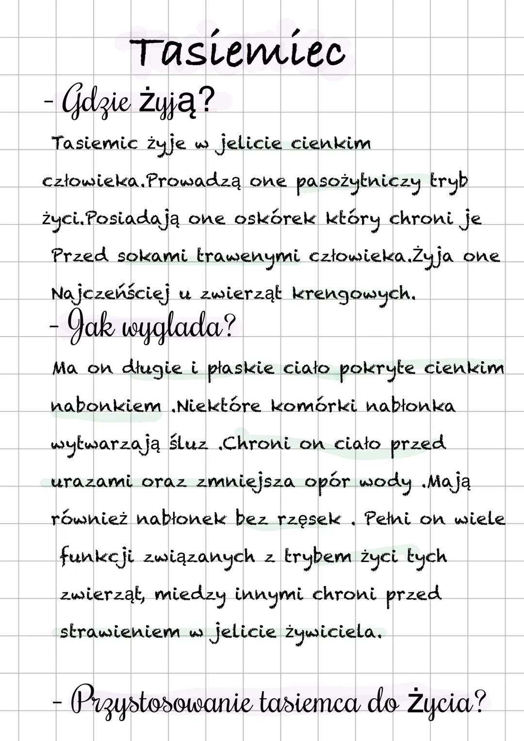 # Tasiemiec
- Gdzie żyją?
Tasiemic żyje w jelicie cienkim
człowieka. Prowadzą one pasożytniczy tryb
życi. Posiadają one oskórek który chro