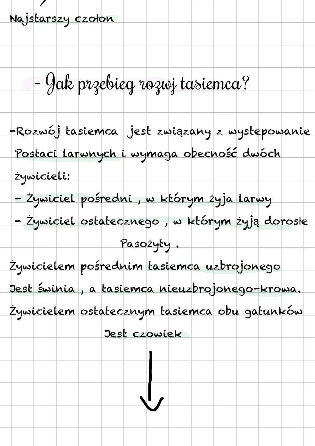 # Tasiemiec
- Gdzie żyją?
Tasiemic żyje w jelicie cienkim
człowieka. Prowadzą one pasożytniczy tryb
życi. Posiadają one oskórek który chro