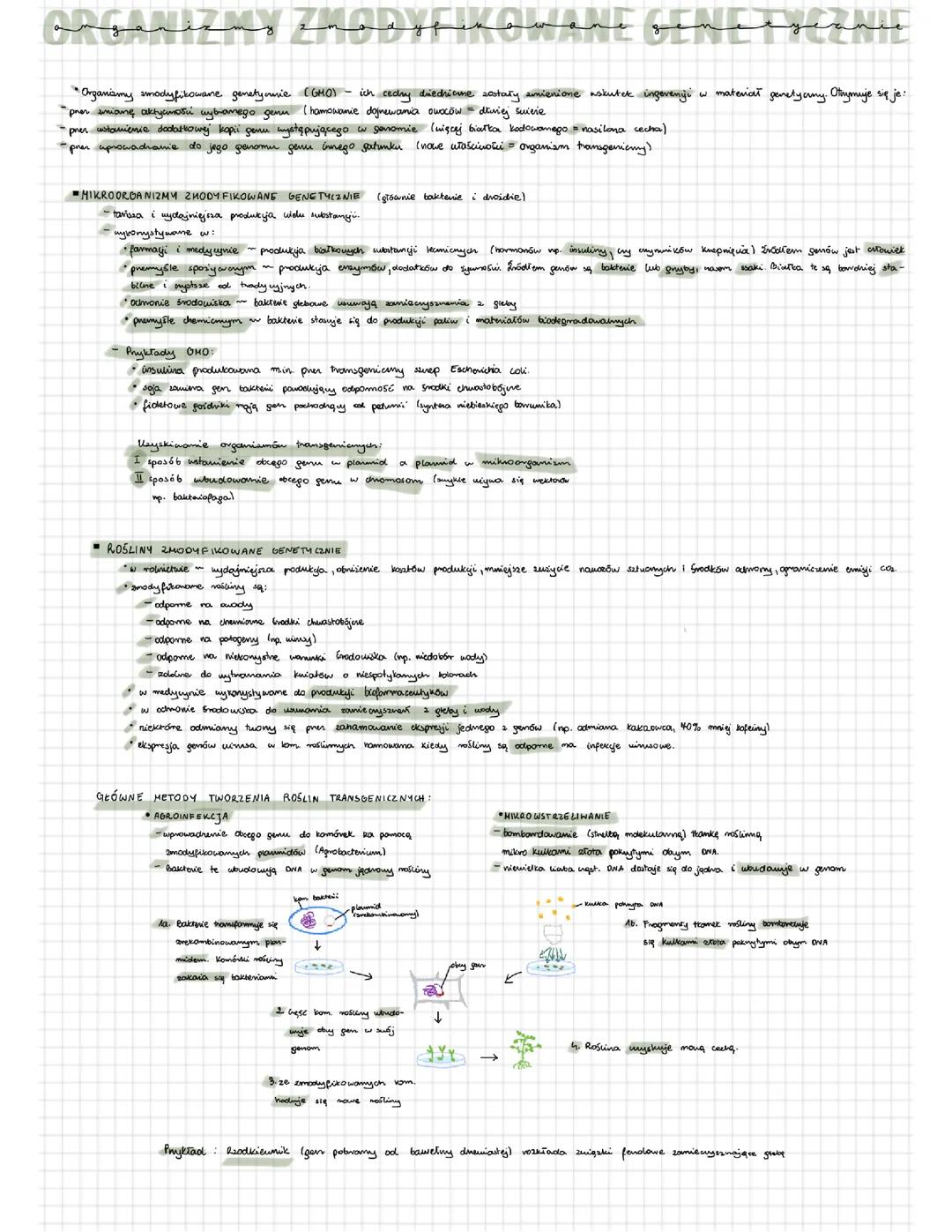 GMO - organizmy zmodyfikowane genetycznie