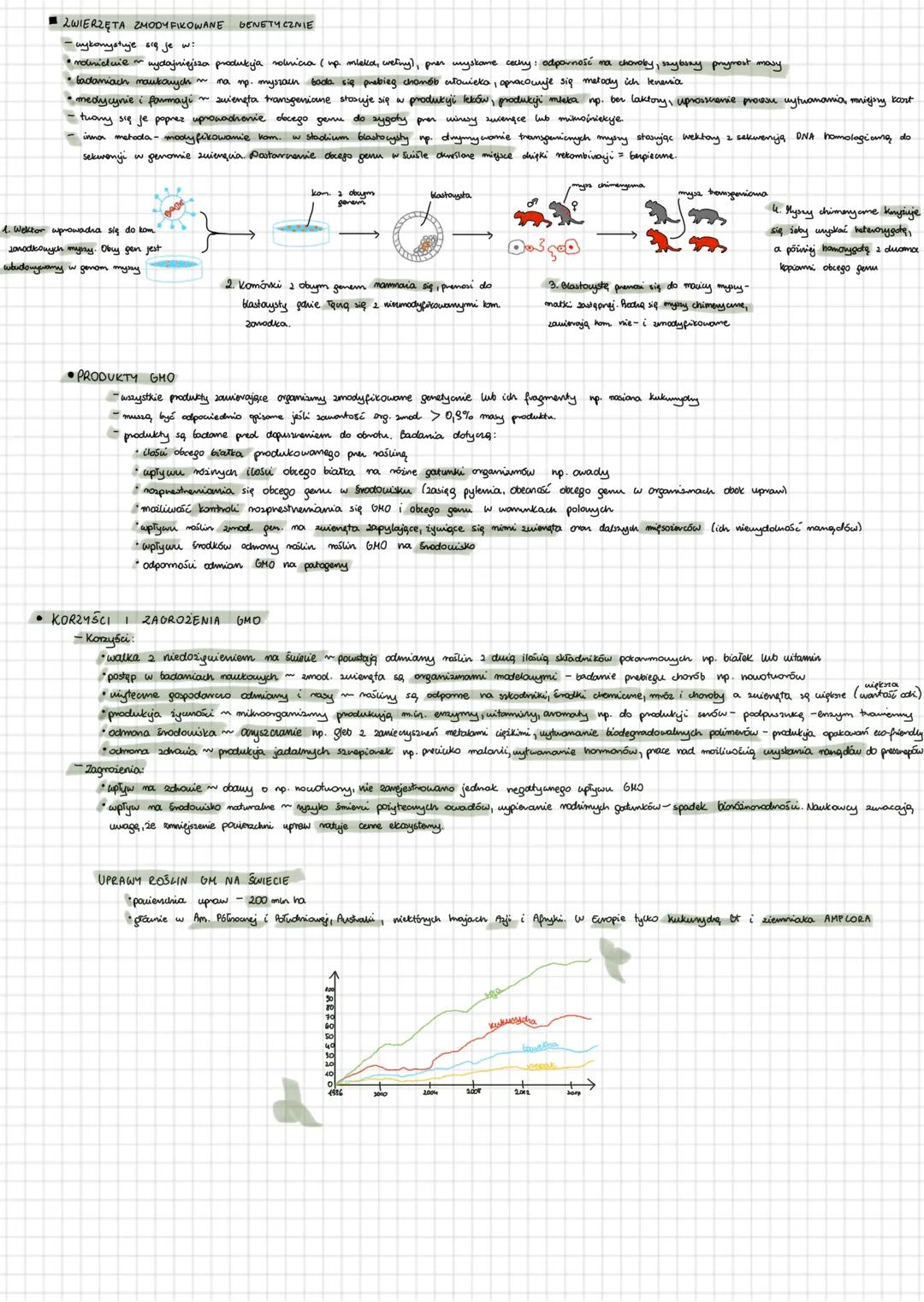 angan
my zmodyfikowane sine
д
g
• Organizmy zmodyfikowane genetycnie (GMO) - ich cechy diedricue zostały zmienione wskutek ingevenyi w mater