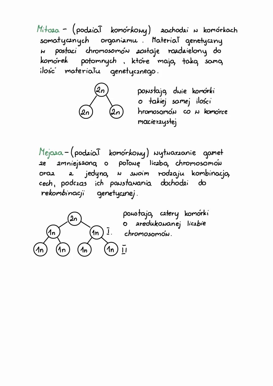 # Genetyka
Genetyka zajmuje się badaniem dziedaiczenia
cech oraz zmienności organizmów
DNA (informacja genetyczna)
IXIXIX
adenina + tymi