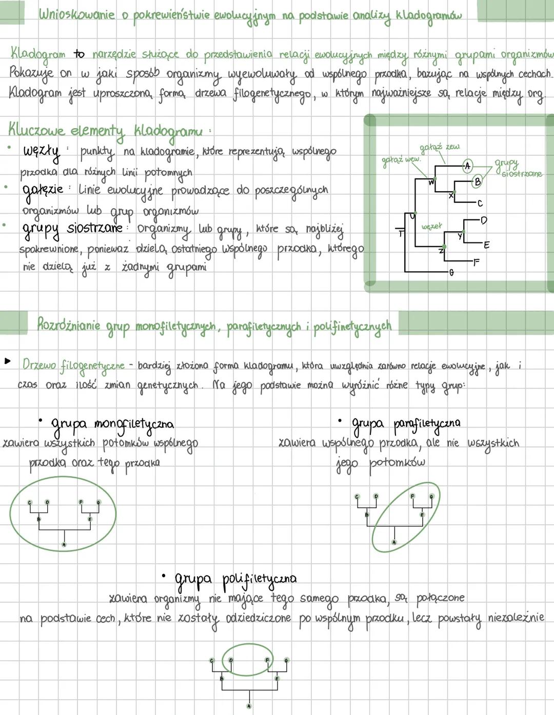 Klasyfikowanie
organizmów .
→>
->
1
i jer zadania
Systematyka i jej
Systematyka, czyli dział biologii poświęcony klasyfikowaniu, katalogowan