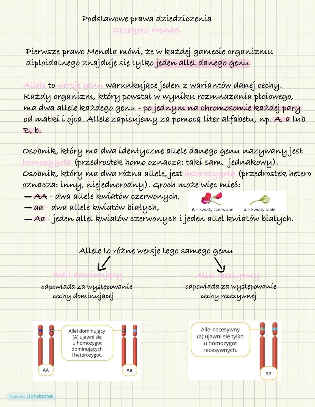 Dziedziczenie podstawowych cech
Genotyp- cechy, które dziedziczymy po rodzicach są zapisane w genach
przenoszonych na chromosomach. Zespół
