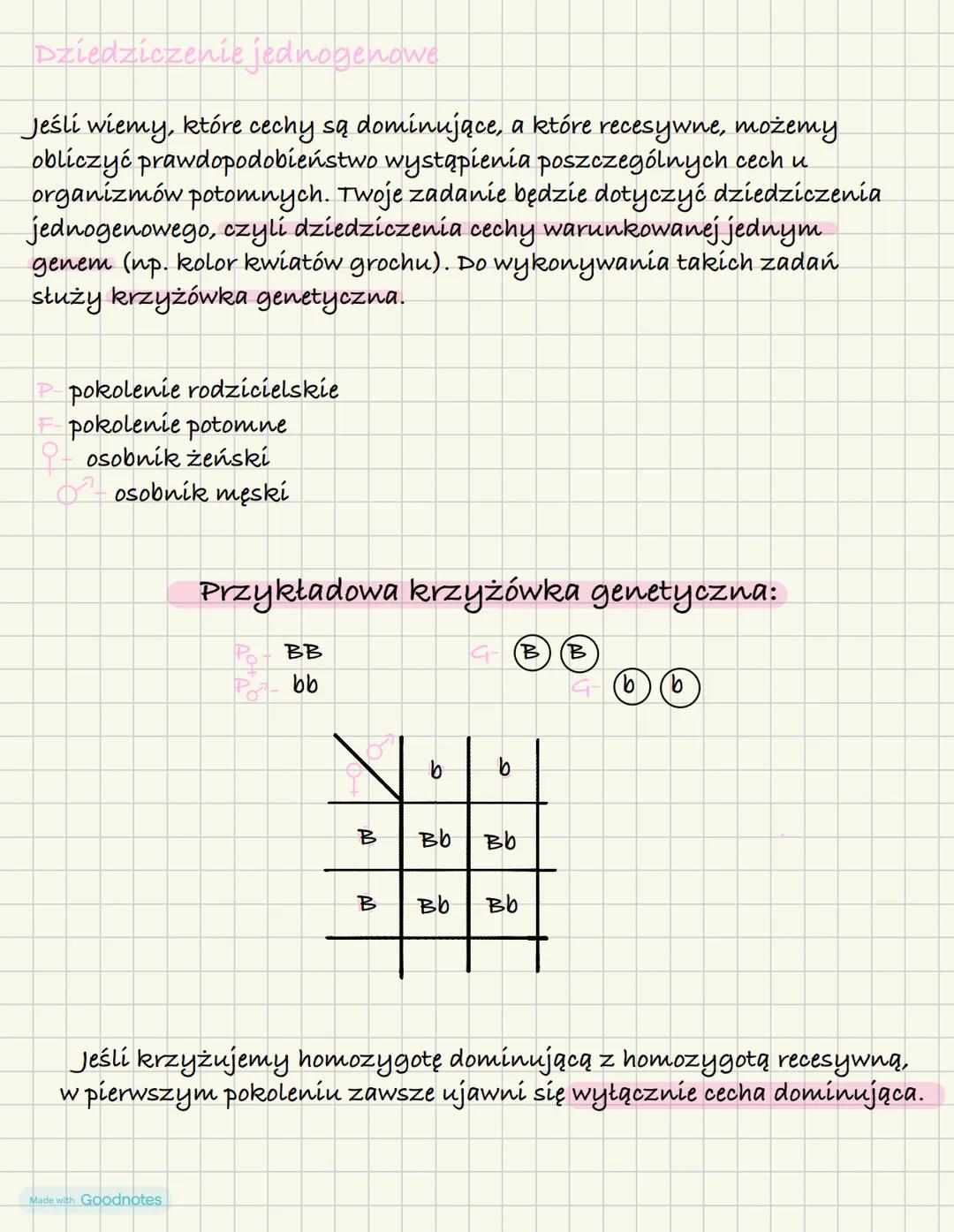 Dziedziczenie podstawowych cech
Genotyp- cechy, które dziedziczymy po rodzicach są zapisane w genach
przenoszonych na chromosomach. Zespół