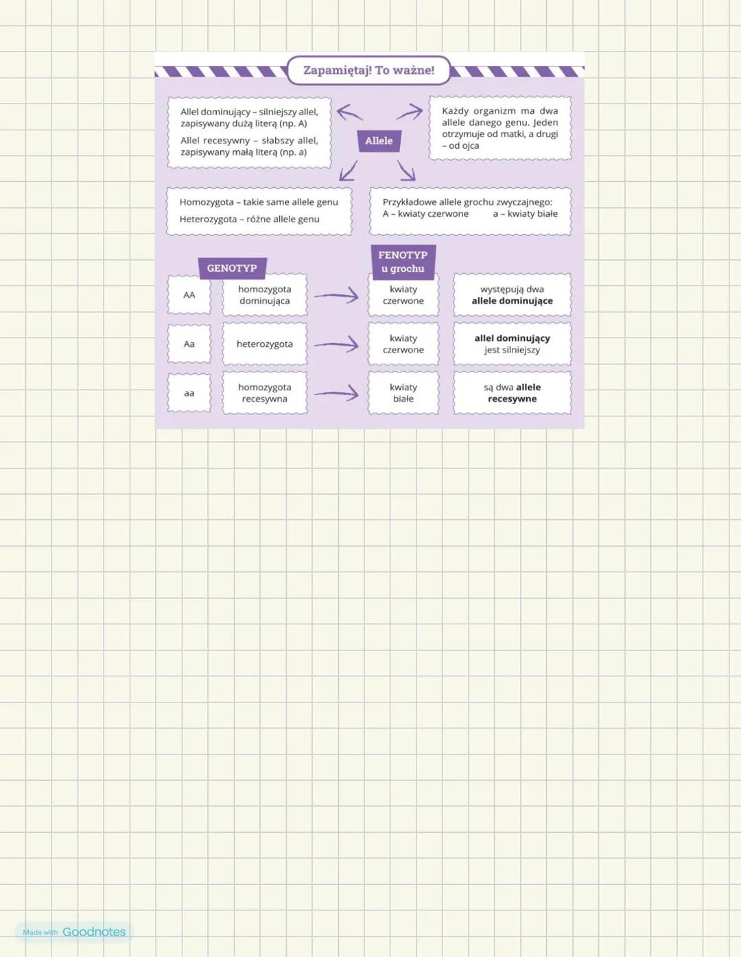 Dziedziczenie podstawowych cech
Genotyp- cechy, które dziedziczymy po rodzicach są zapisane w genach
przenoszonych na chromosomach. Zespół