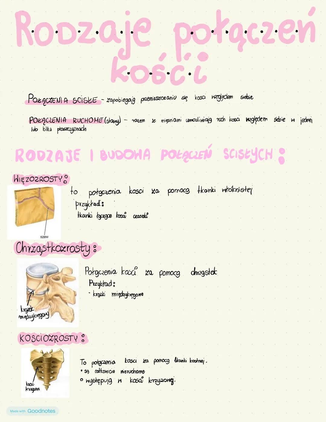 # Rodzaje połączeń
# κοστι
POŁĄCZENIA SCISKE - zapobiegają przemieszczaniu się kasi nezględem siebie
POŁĄCZENIA RUCHOME (stany) razem z m