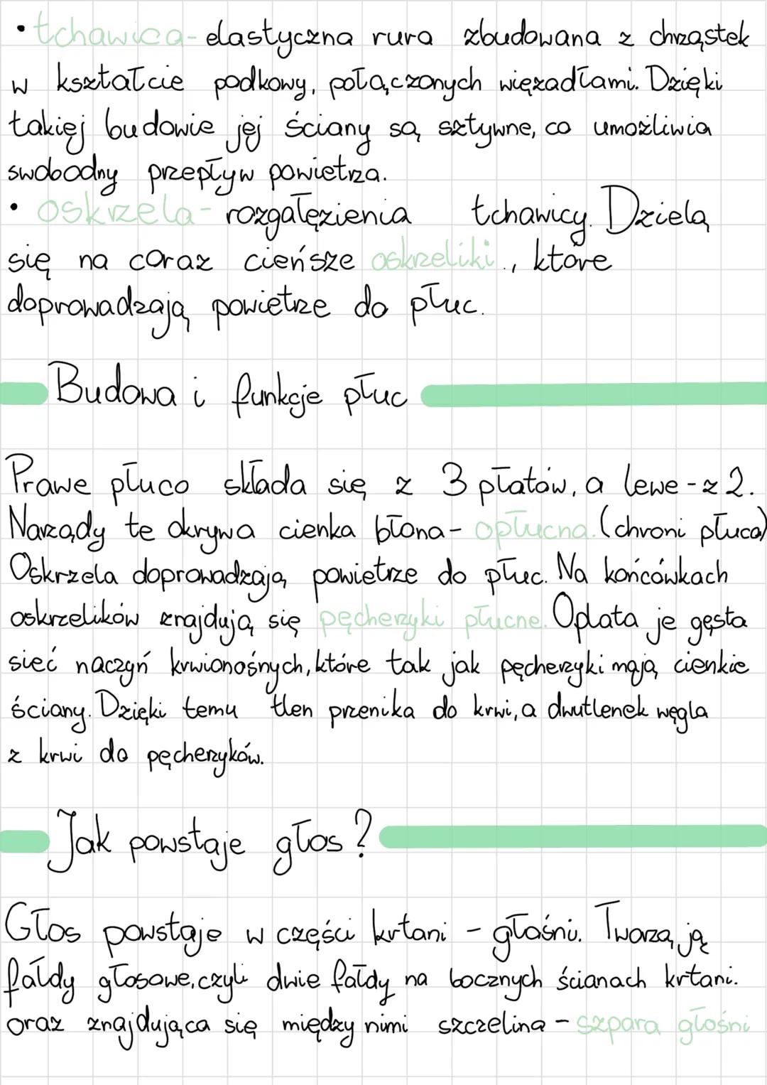 # układ oddechowy
Budowa i rola
@jama nosowa
@jama ustna
@nagłośnia gardia
krtań
tchawica
Oskrzele
pluco
Oskrelik
Dragi oddechowe