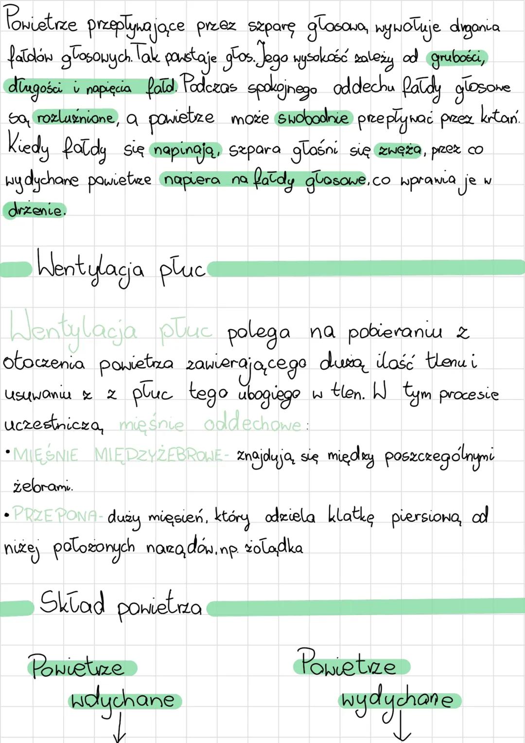 # układ oddechowy
Budowa i rola
@jama nosowa
@jama ustna
@nagłośnia gardia
krtań
tchawica
Oskrzele
pluco
Oskrelik
Dragi oddechowe