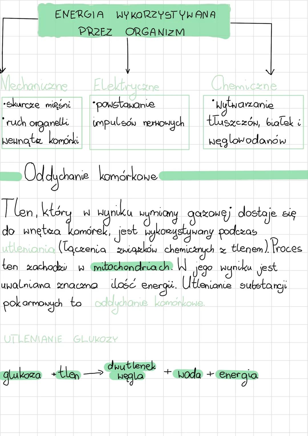 # układ oddechowy
Budowa i rola
@jama nosowa
@jama ustna
@nagłośnia gardia
krtań
tchawica
Oskrzele
pluco
Oskrelik
Dragi oddechowe