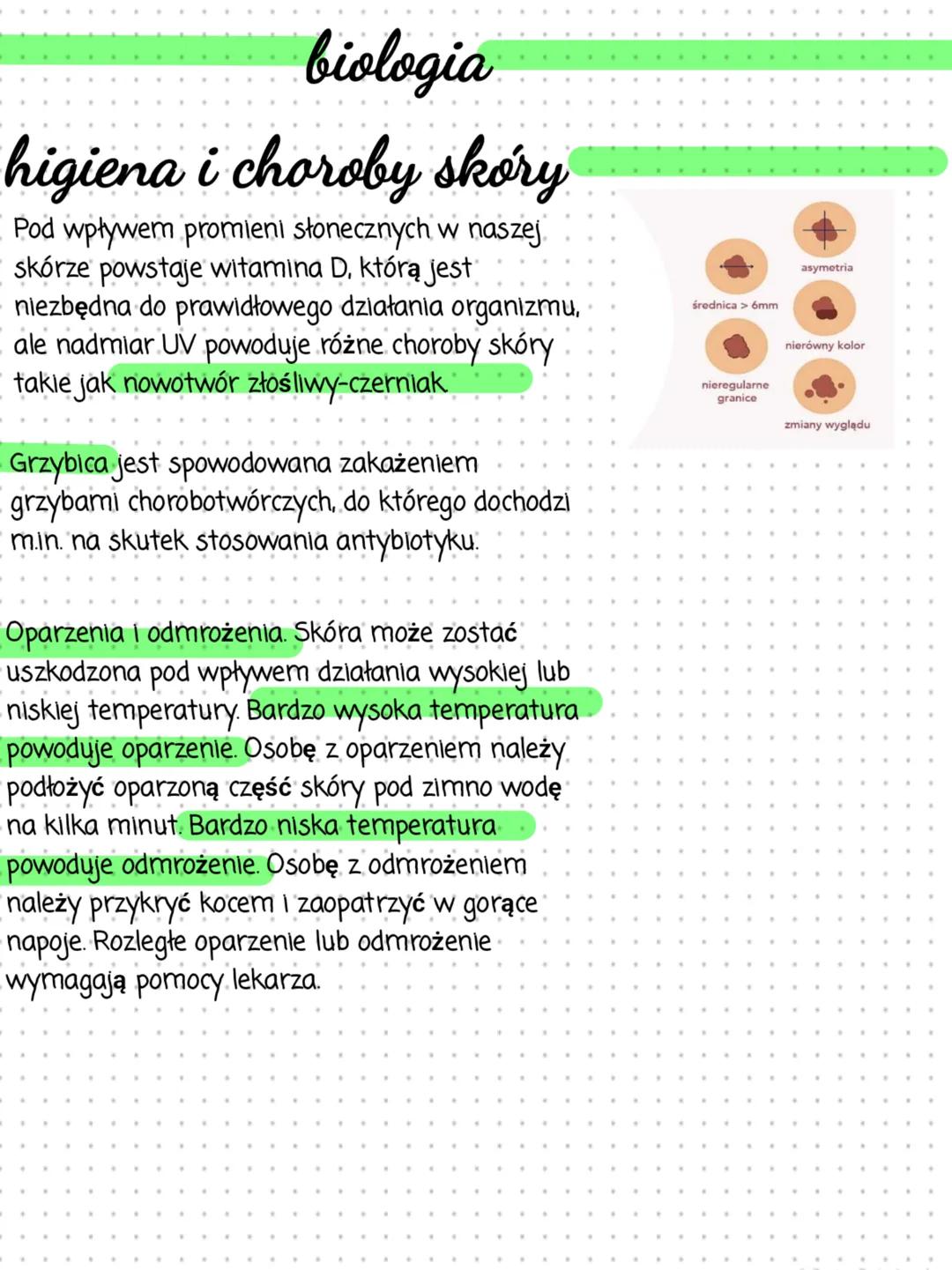 biologia
higiena i choroby skory
Pod wpływem promieni słonecznych w naszej.
skórze powstaje witamina D, którą jest
niezbędna do prawidłowego