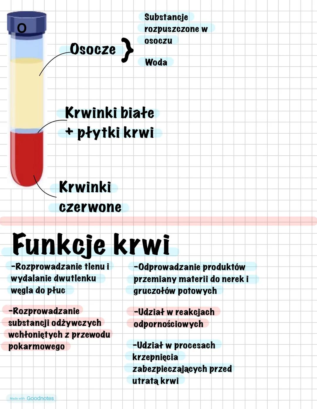 Osocze }
Substancje
rozpuszczone w
OSOCZU
Woda
Krwinki białe
+ płytki krwi
Krwinki
czerwone
Funkcje krwi
-Rozprowadzanie tlenu i
wydalanie d