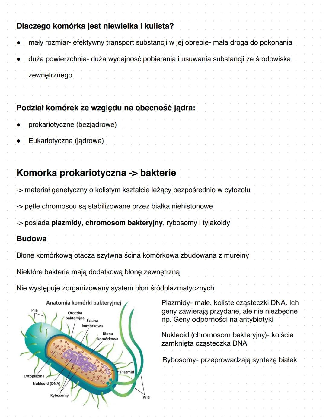 Komórka
Podziałorganizmów:
• organizmy jednokomórkowe (bakterie, protisty, grzyby, rośliny pierwotnie wodne
• Formy kolonijne (bakterie, pro