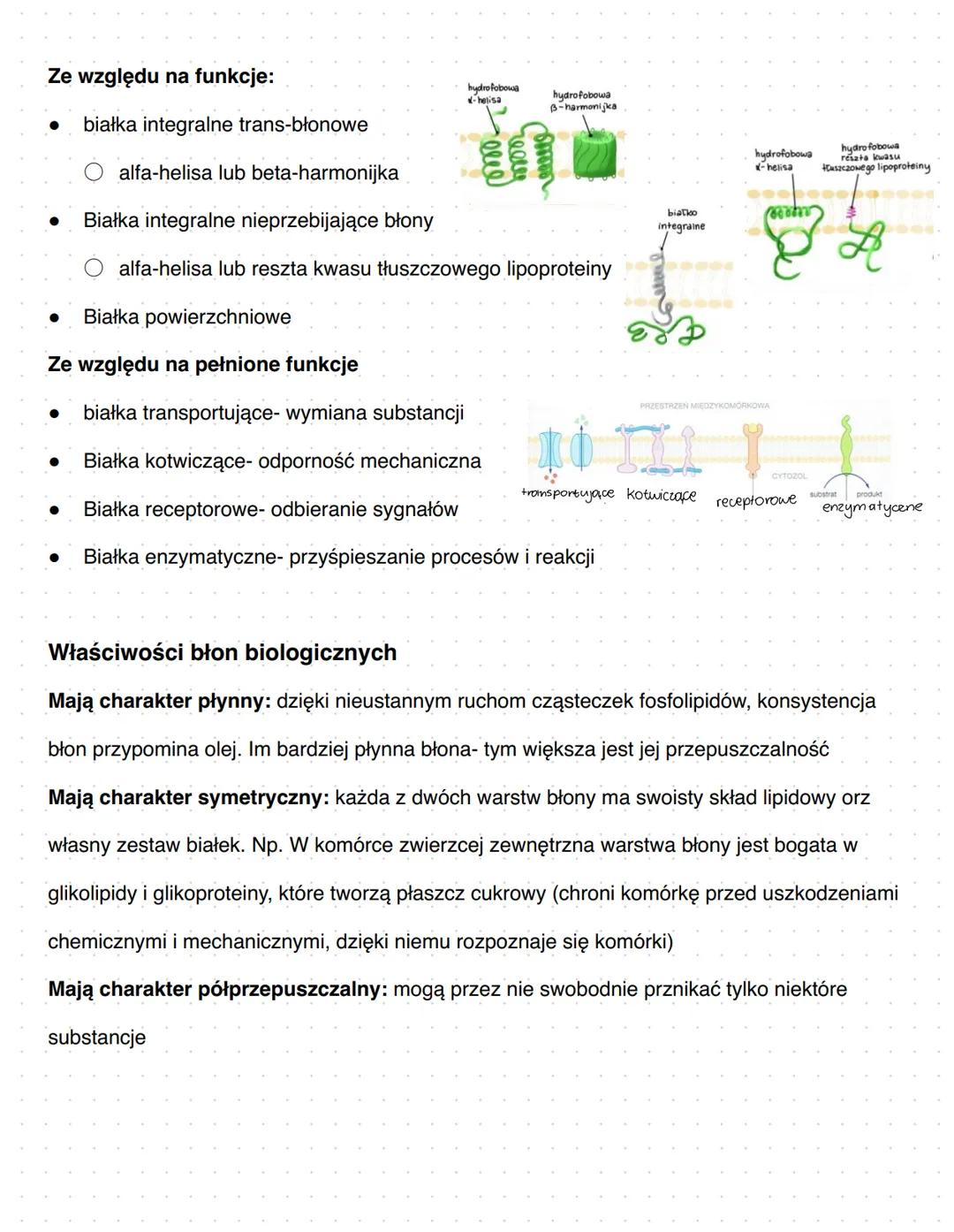 Komórka
Podziałorganizmów:
• organizmy jednokomórkowe (bakterie, protisty, grzyby, rośliny pierwotnie wodne
• Formy kolonijne (bakterie, pro