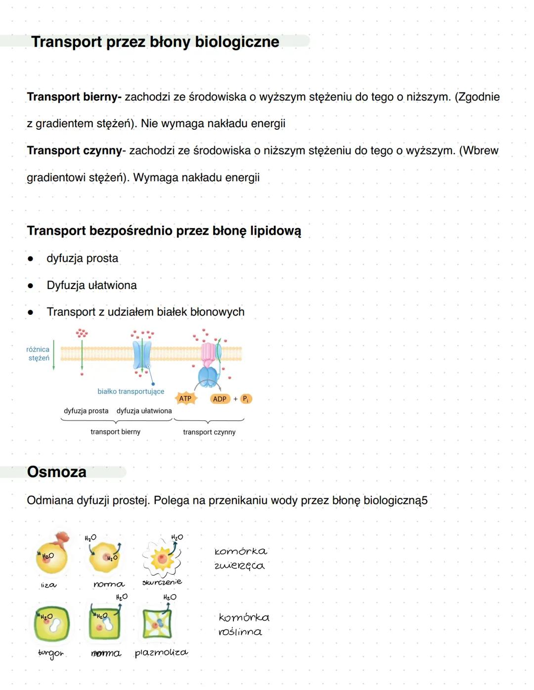Komórka
Podziałorganizmów:
• organizmy jednokomórkowe (bakterie, protisty, grzyby, rośliny pierwotnie wodne
• Formy kolonijne (bakterie, pro