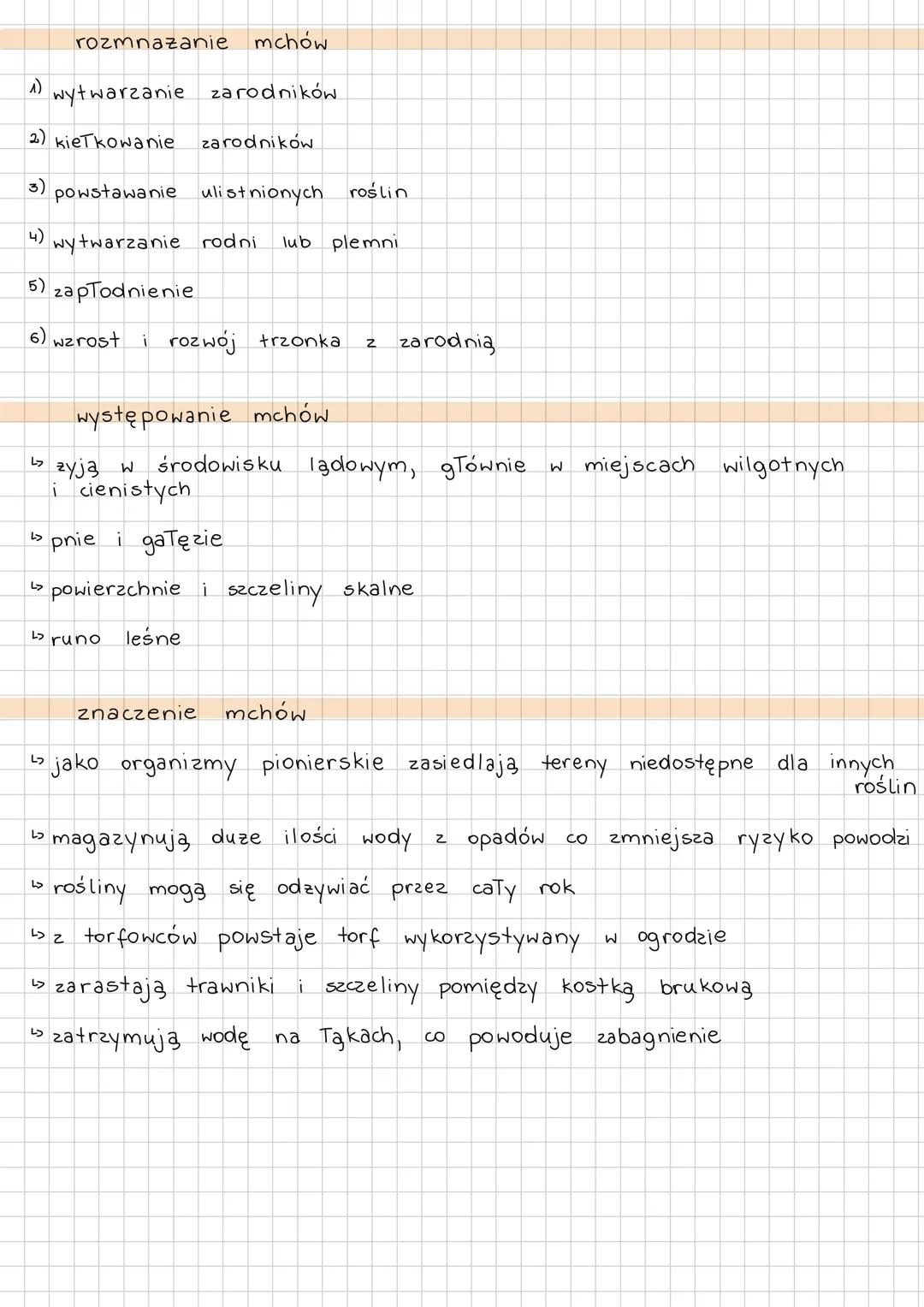 cechy mchów
↳ dominacja gametofitu nad sporofitem
↳ zapłodnienie wymaga obecności wody
sporofit
pokolenie krótkotwate
mchy są roślinami zaro