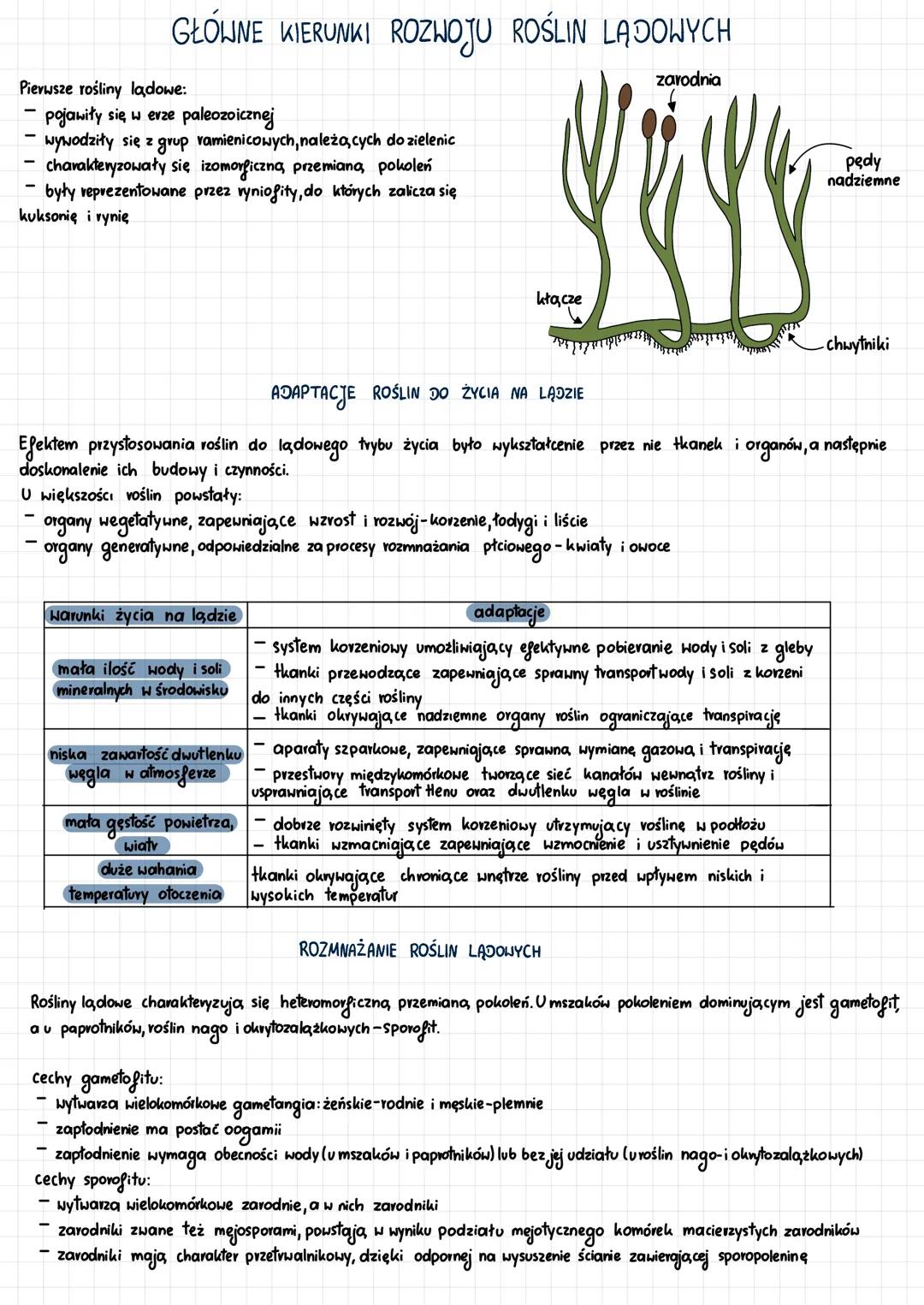 # GŁÓWNE KIERUNKI ROZWOJU ROŚLIN LĄDOWYCH
Pierwsze rośliny lądowe:
- pojawiły się w erze paleozoicznej
- wywodziły się z grup ramienicowych