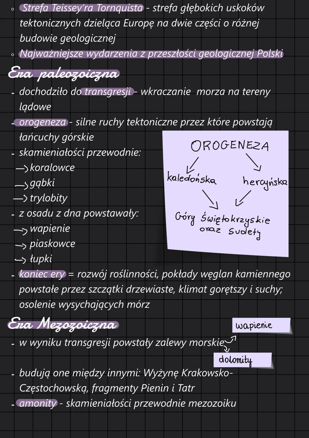Geografia • Położenie i obszar polski można rozpatrywać w ujeciu:
-> matematyczno - geograficznym:
- Położenie danego państwa określa się