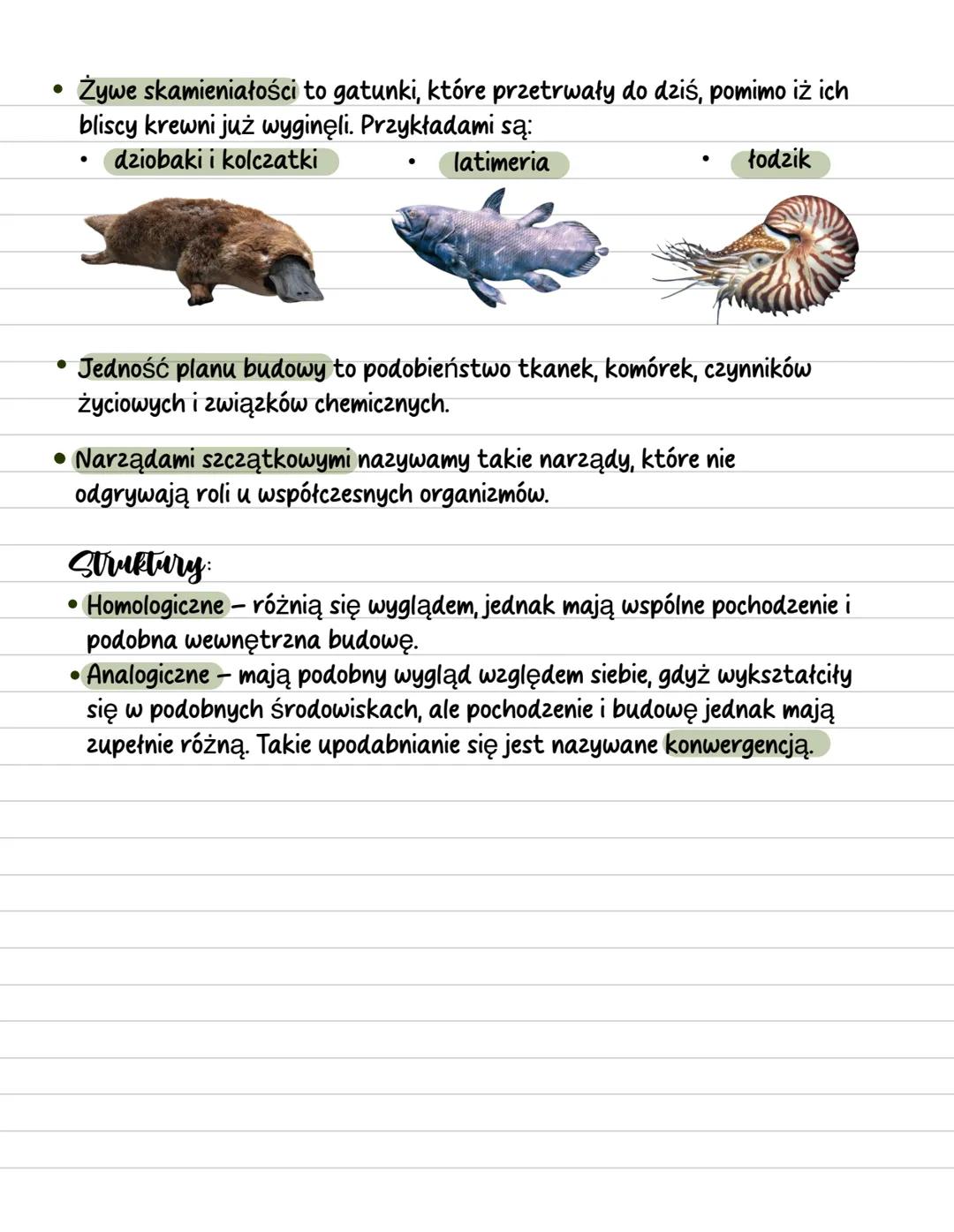 Zródla wiedzy o ewolucji
• Wszystkie organizmy podlegają ewolucji. Ewolucja to proces stopniowych,
ciągłych zmian cech gatunkowych prowadząc