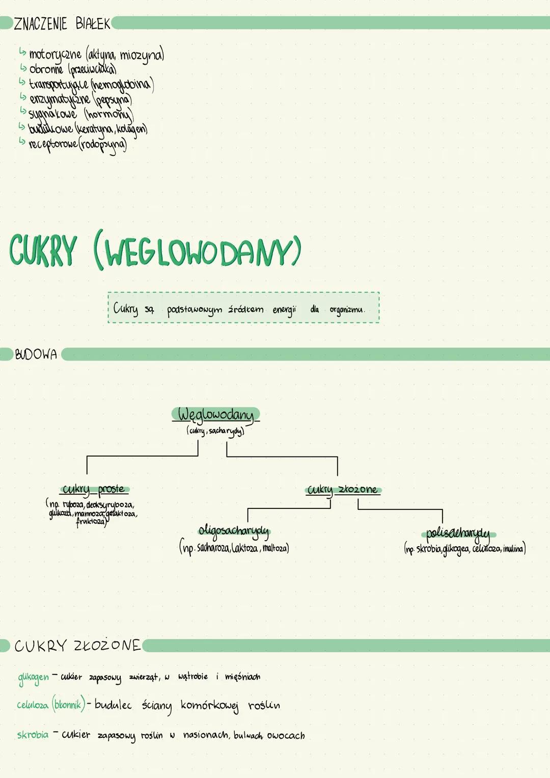 # SKŁADNIKI POKARMU
# CZŁOWIEKA
Pokarm substancja pobrana z otoczenia będąca źródłem budulca (białka, tłuszcze sole mineralne) energii
(cuk