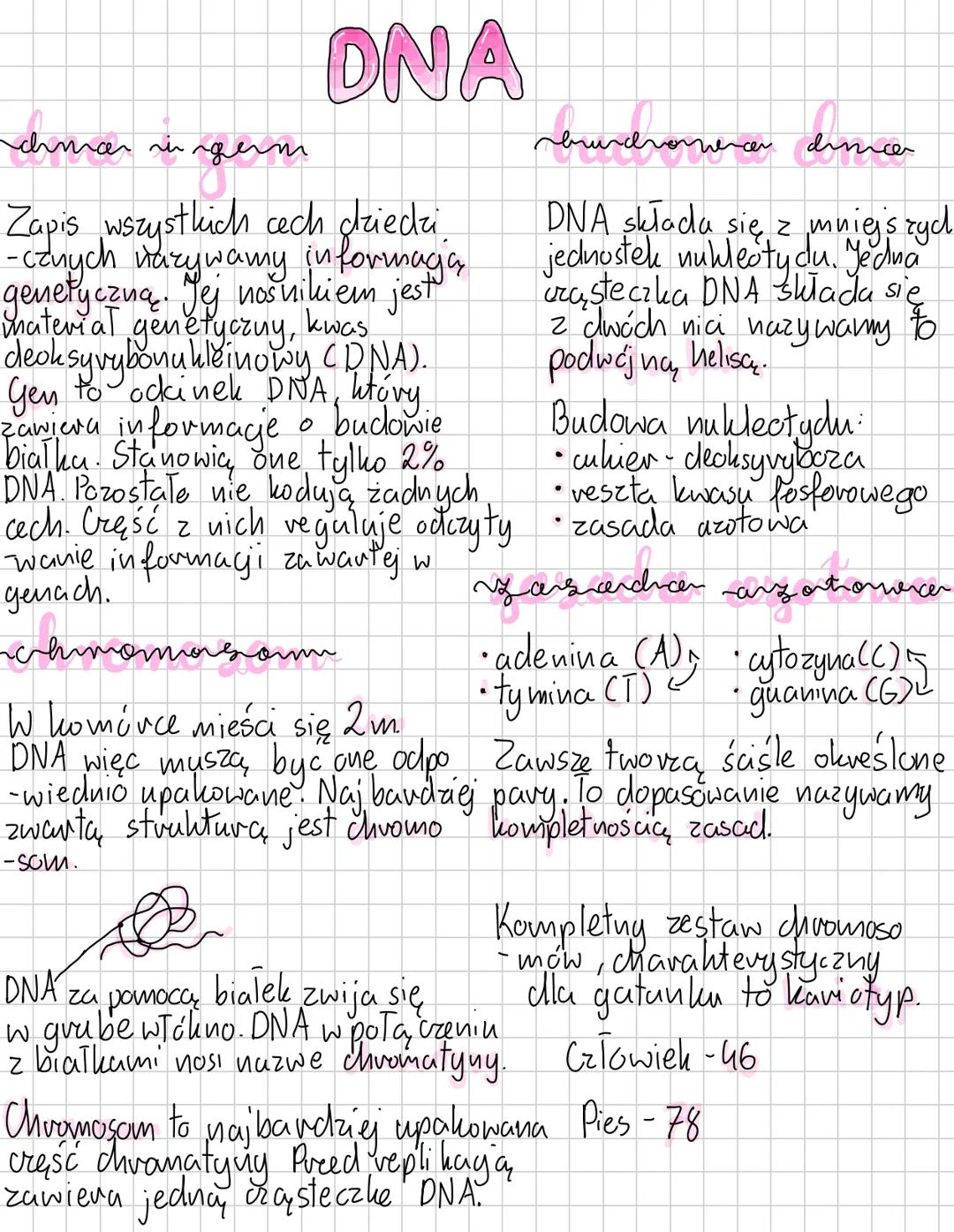 # GENETYKA
gemetrykrar
to nauka zajmująca się
dziedziczeniem cech ovaz
zmiennością, organizmów.
Cechy, które odziedziczylismy od
po vodzica