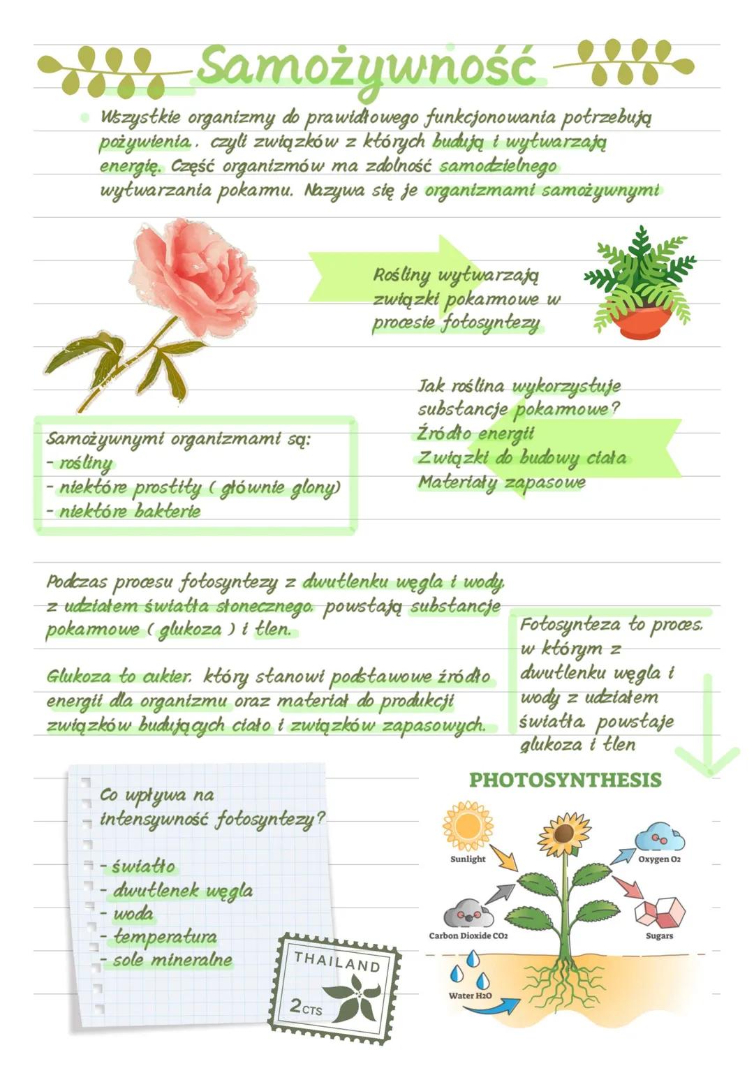 # Samożywność
Wszystkie organizmy do prawidłowego funkcjonowania potrzebują
pożywienia, czyli związków z których budują i wytwarzają
energi