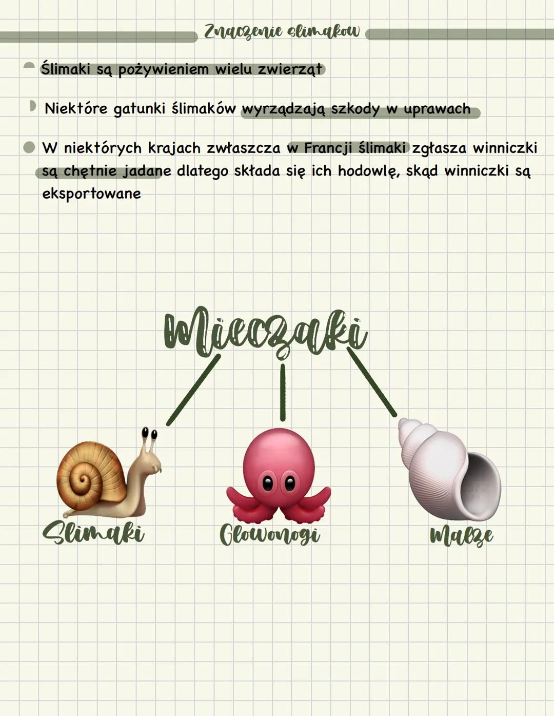 Biologia
Mieczaki
SrodowisZko zycia i charakterystyka
Zamieszkują wody słodkie i słone
Mieczaki są drogim po stawonogach najliczniejszym typ