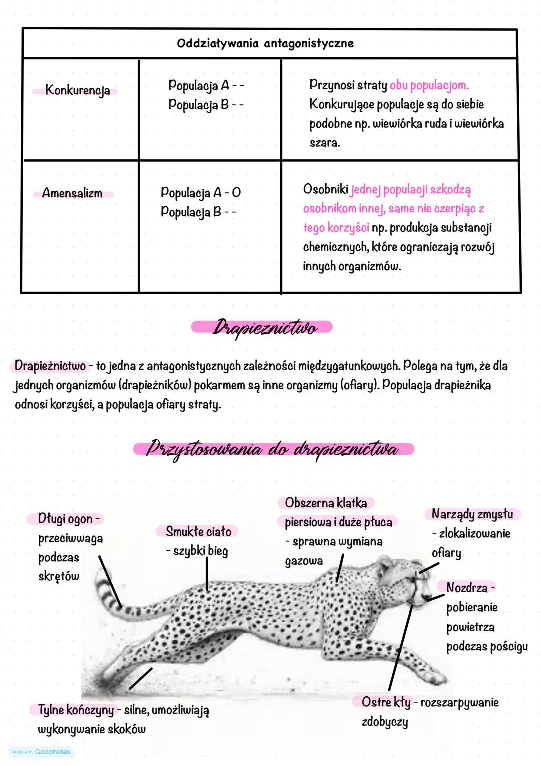 # Ekologia
Ekologia to nauka zajmująca się badaniem wzajemnych zależności między organizmami
żywymi oraz tego jak środowisko i organizmy wp