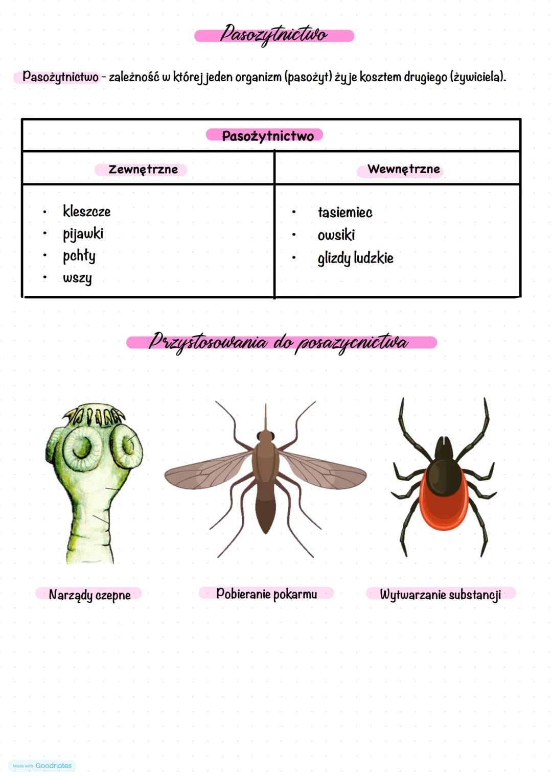 # Ekologia
Ekologia to nauka zajmująca się badaniem wzajemnych zależności między organizmami
żywymi oraz tego jak środowisko i organizmy wp