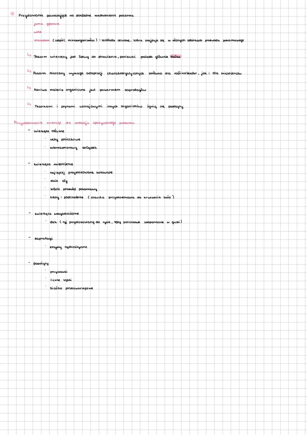 # ODZYWIANIE SIĘ ZWIERZĄT
zwierzęta heterotroły odżywiają się materią organiczną, którą pobierają ze środowiska, zjadając inne organizmy wo
