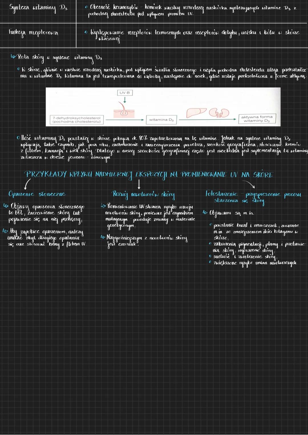# Budowa skóry
Skóre tworzy naskórek i skóra właściwa
Pod nimi znajduje się tkanka podskóma zbudowana głownie z tkanki tłuszczonej zöttej