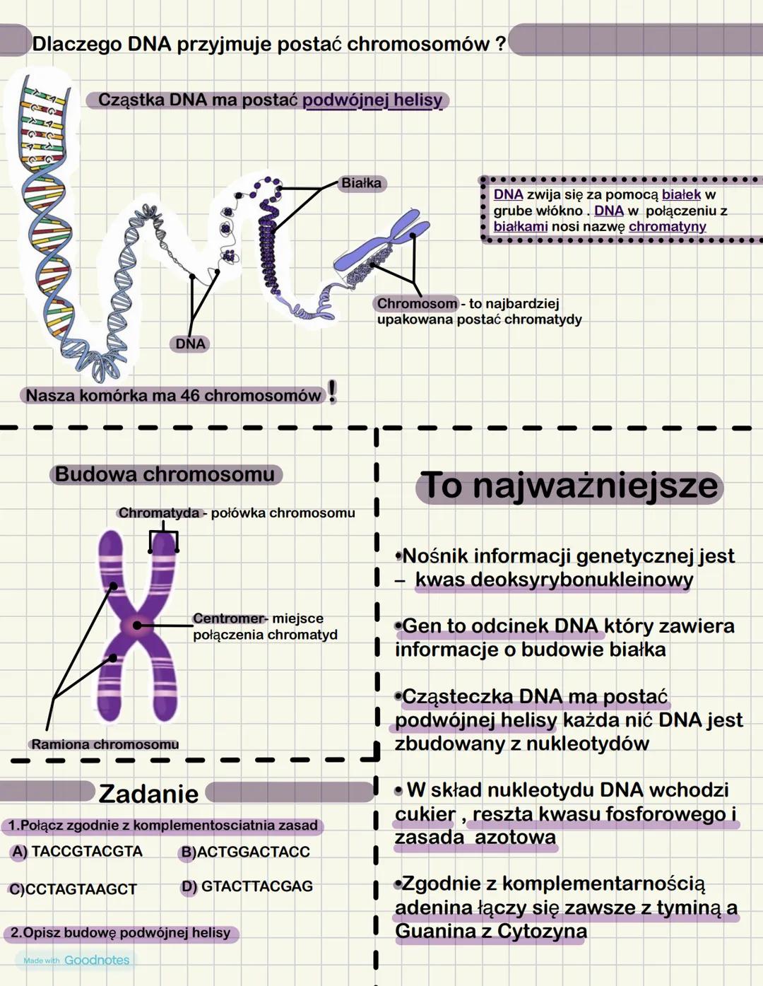 Nośnik informacji genetycznej - DNA
Zapis wszystkich cech dziedzicznych organizmu nazywamy informacja
genetyczną jej nośnikiem jest materiał