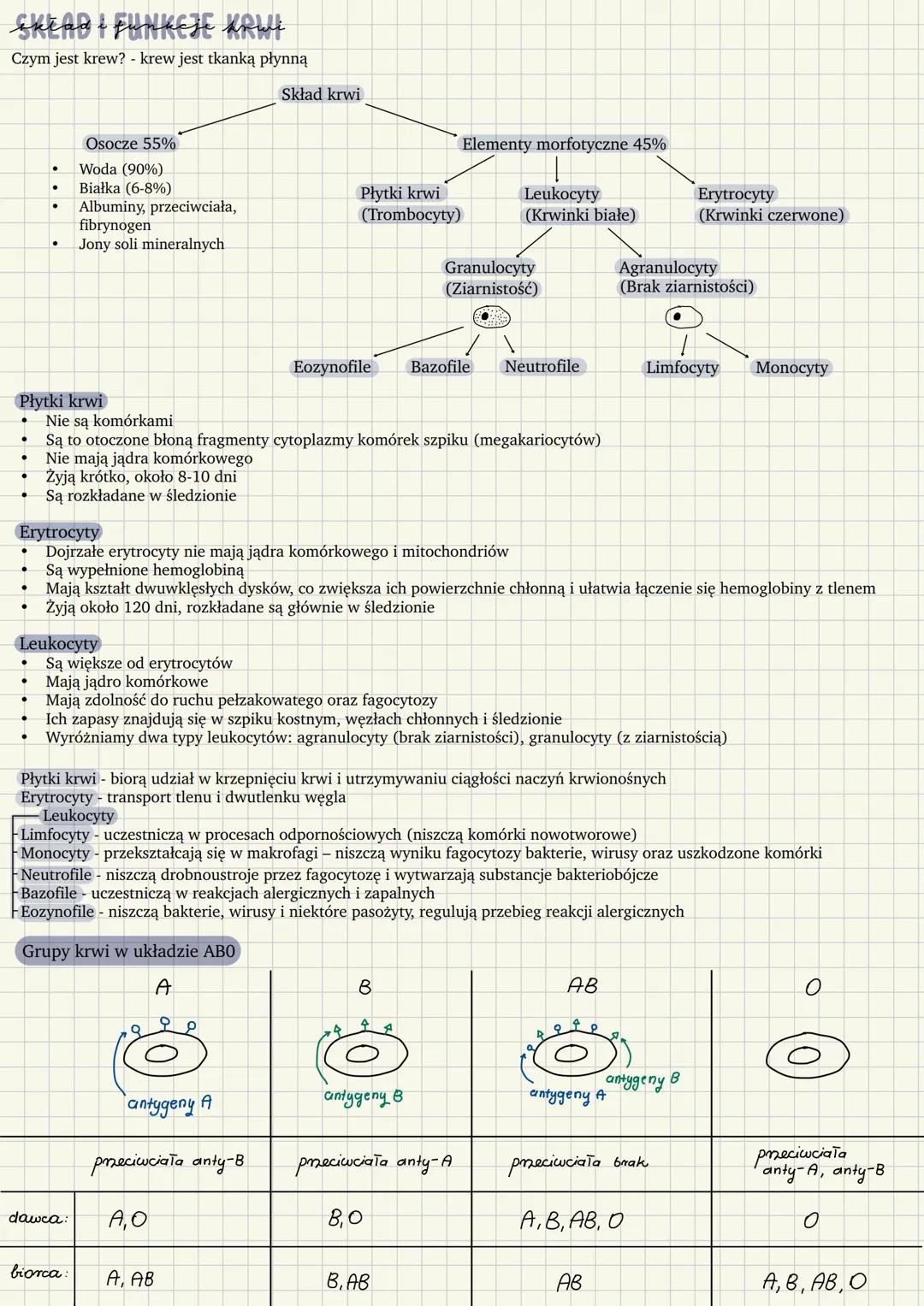 # SKŁAD I FUNKCJE KRWI
Czym jest krew? - krew jest tkanką płynną
Skład krwi
Osocze 55%
* Woda (90%)
* Białka (6-8%)
* Albuminy, prze
