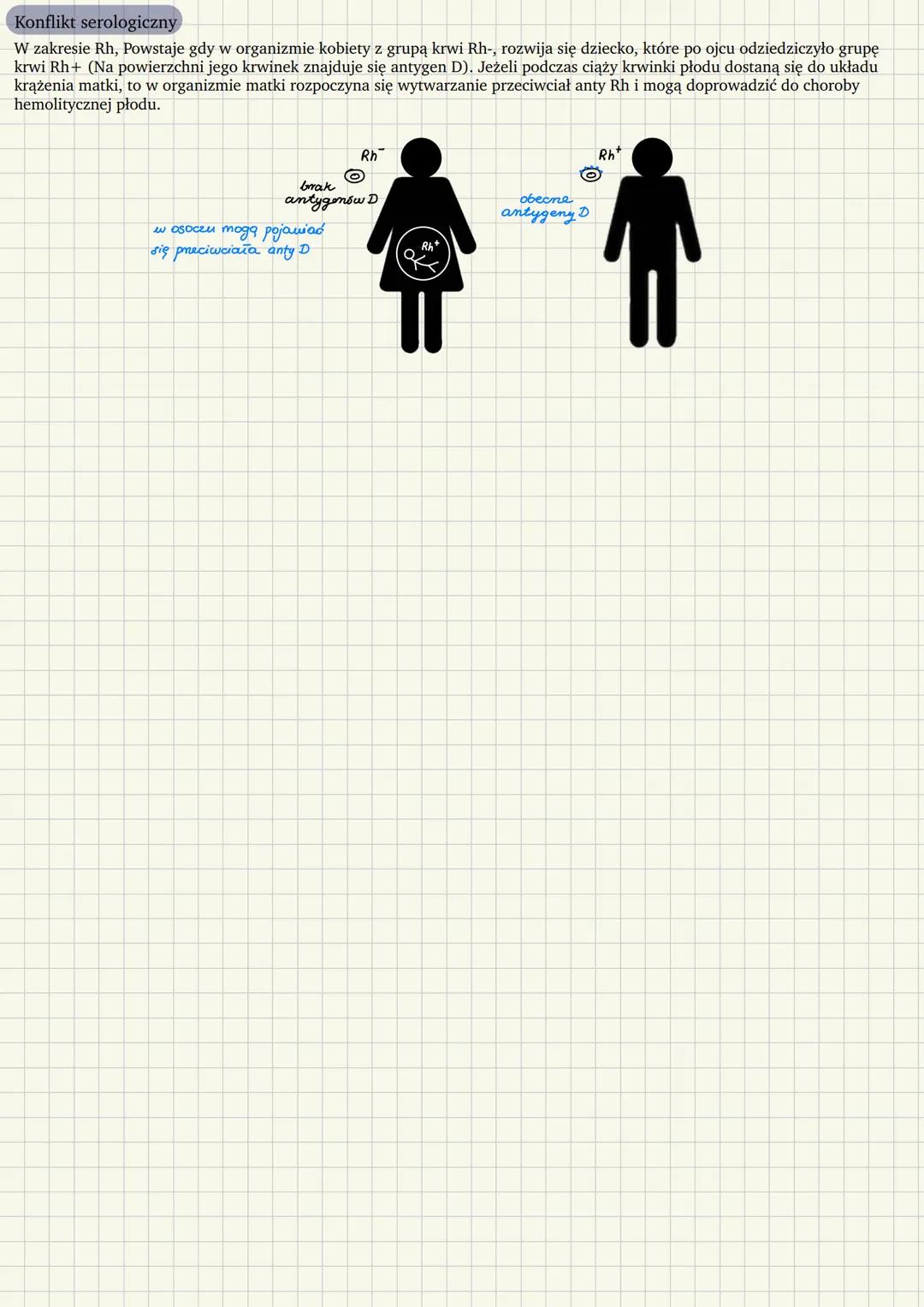 # SKŁAD I FUNKCJE KRWI
Czym jest krew? - krew jest tkanką płynną
Skład krwi
Osocze 55%
* Woda (90%)
* Białka (6-8%)
* Albuminy, prze