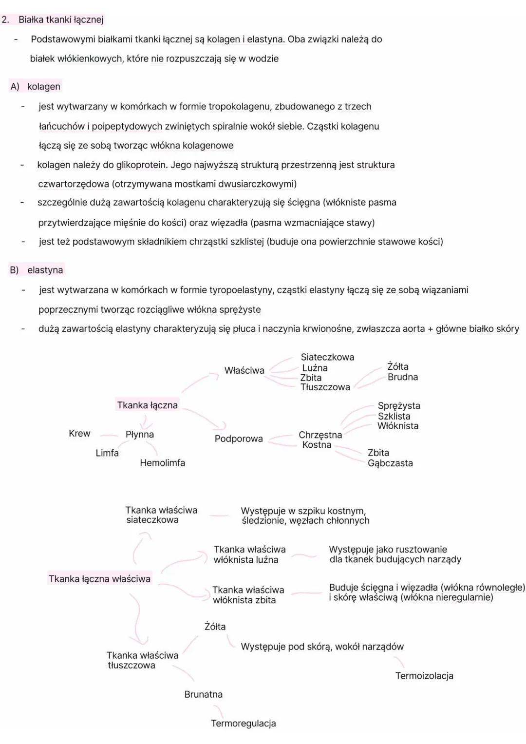 1.
Cechy
Tkanka łączna = komórki + sub. Międzykomórkowa
-luźno
ułożone
-wytwarzają
w
Sub. Podstawowa + włókna białkowe
- bezpostaciowy
sub.