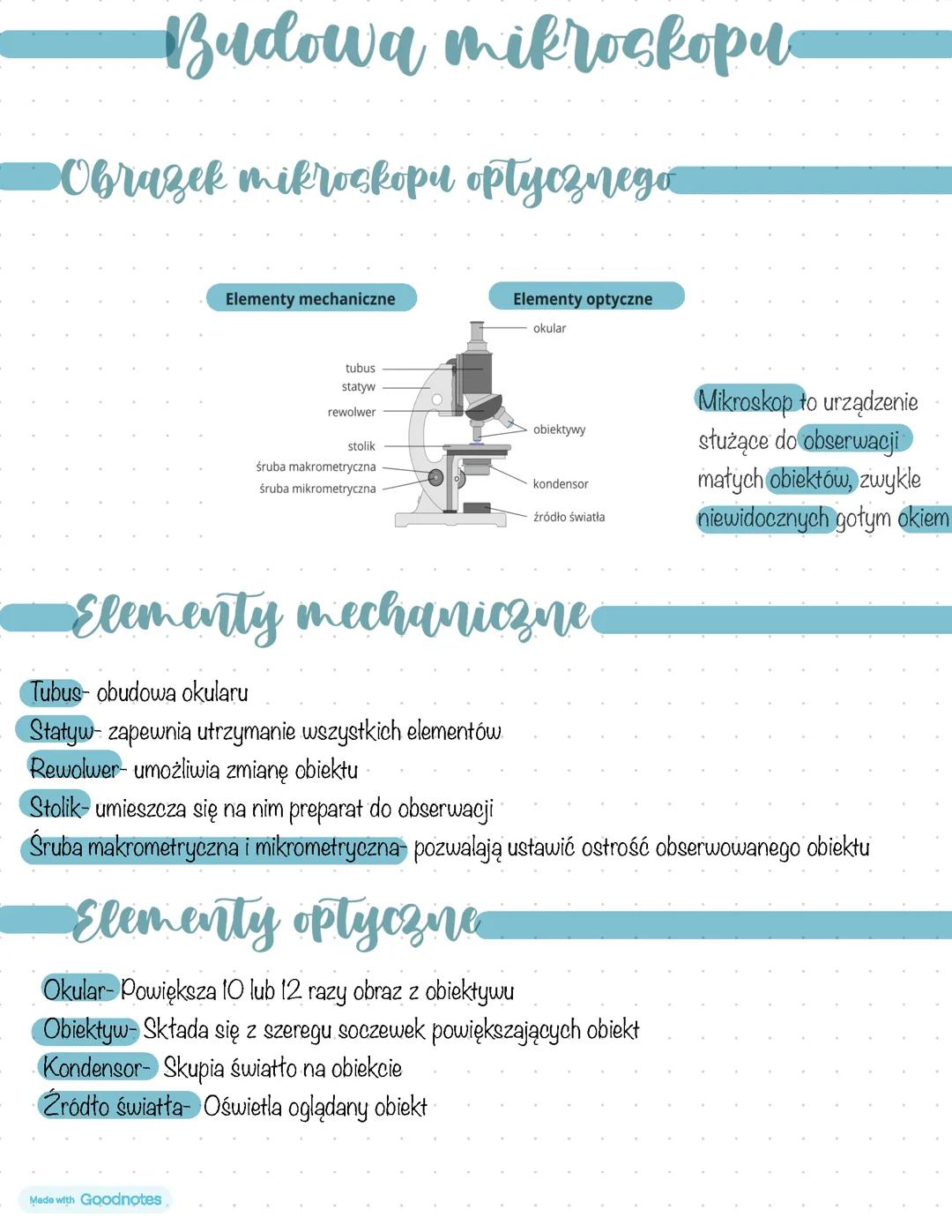 Budowa Mikroskopu