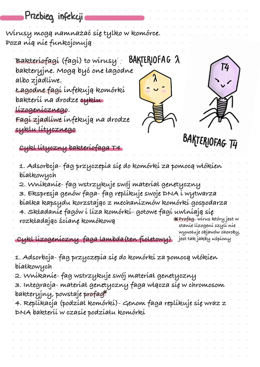 Wirusy-molekularne pasożyty
Wstęp
Wirusy są czynnikami
zaraźnymi zbudowanymi z białka
i kwasu nukleinowego. Atakują
prawie wszystkie organiz