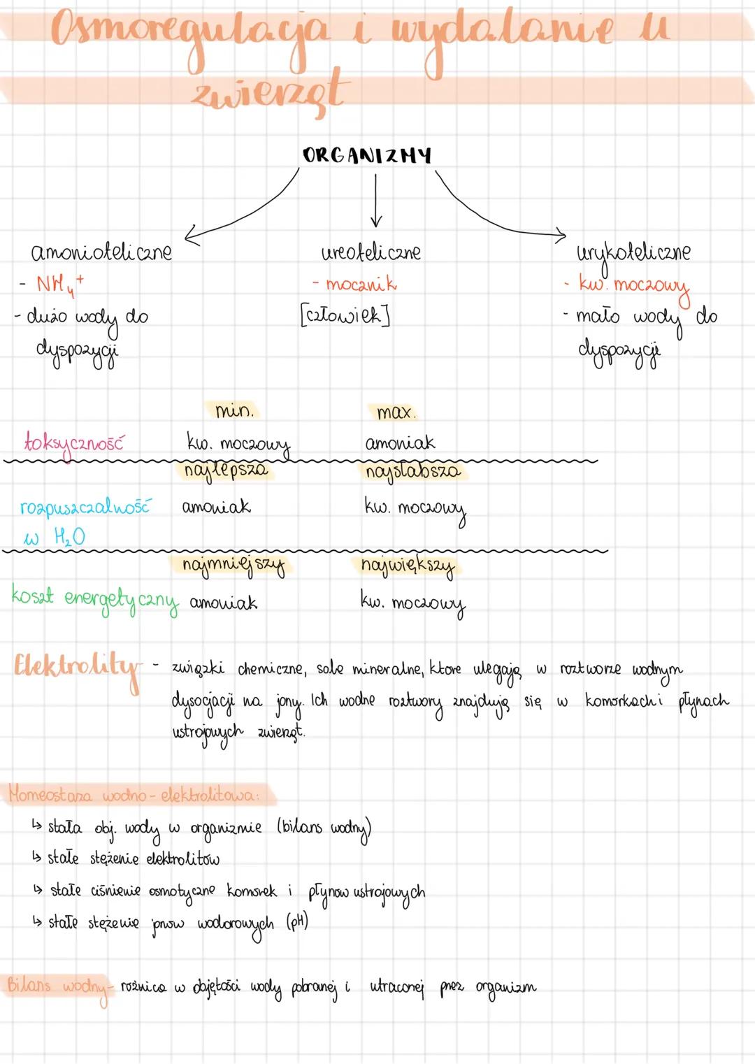# Osmoregulaga i wydalanie u
zwierzęt
ORGANIZMY
Amoniołeliczne
- NH4+
- dużo wody do
dyspozycji
toksyczność
rozpuszczalność
w H₂O
kosat