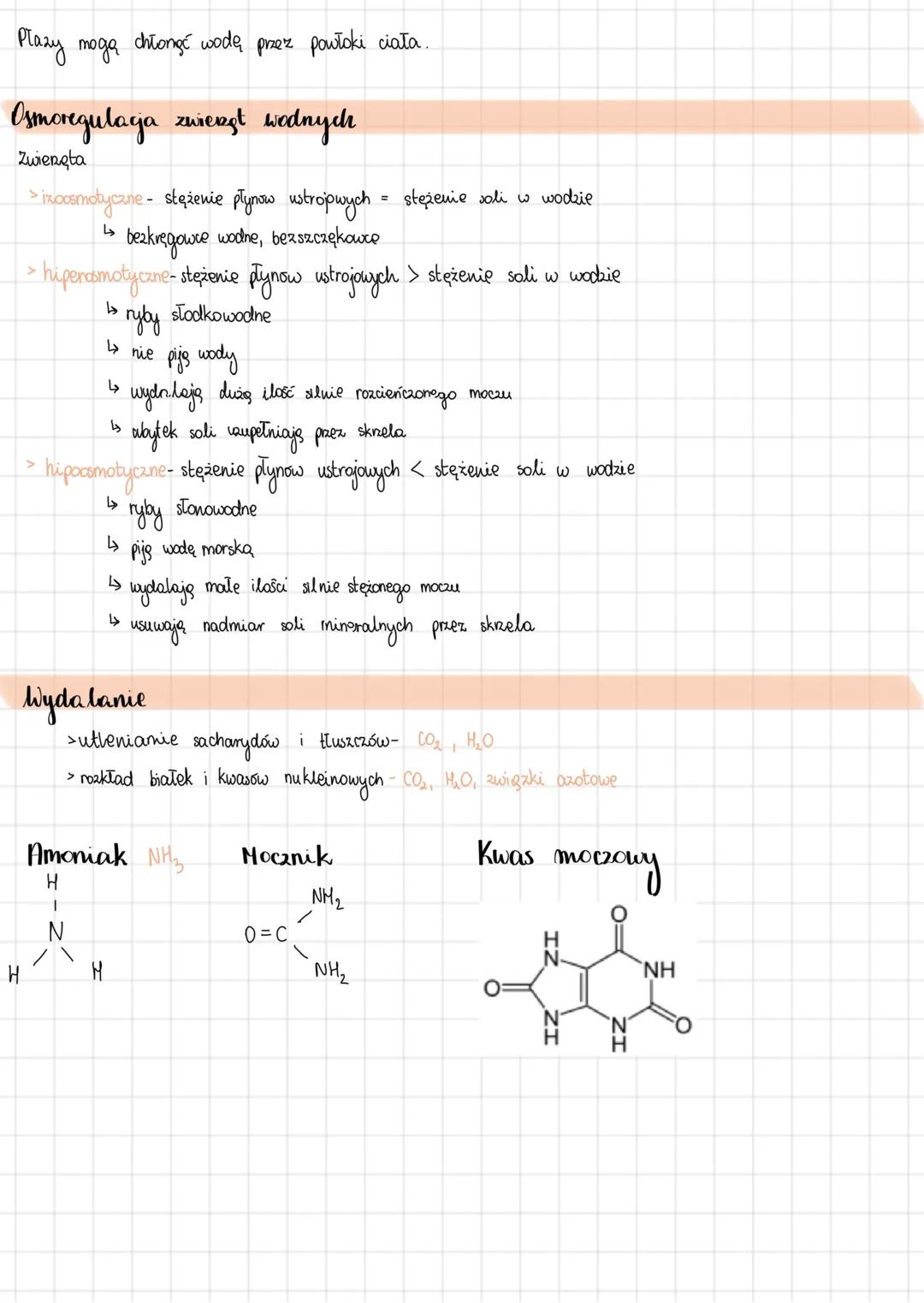 # Osmoregulaga i wydalanie u
zwierzęt
ORGANIZMY
Amoniołeliczne
- NH4+
- dużo wody do
dyspozycji
toksyczność
rozpuszczalność
w H₂O
kosat