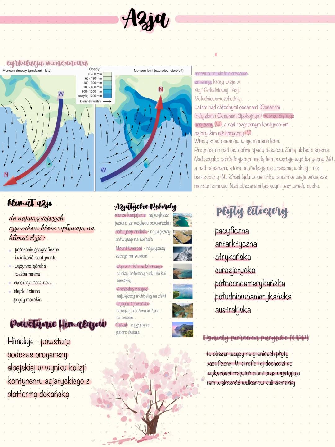 NOTEBOOK # Azja
cyrkulacja monsunowa
Monsun zimowy (grudzień - luty)
Opady:
- 0-60 mm
- 60-180 mm
- 180-300 mm
- 300-600 mm
W
- 800-1200