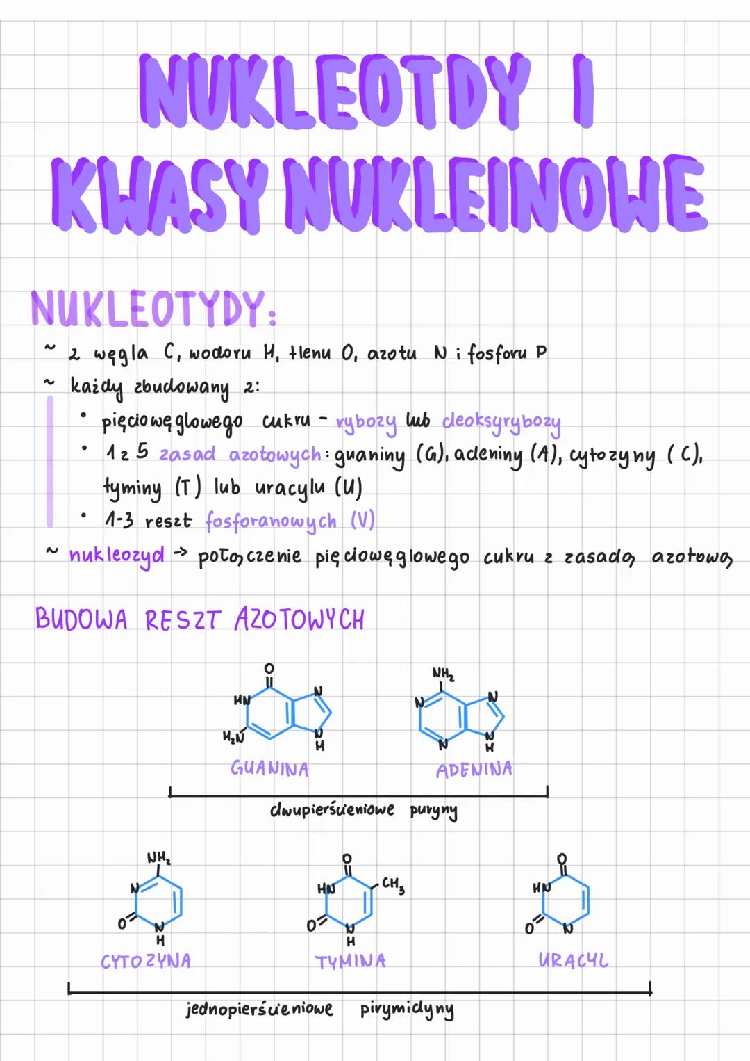 Budowa I funkcje nukleotydów oraz kwasów nukleinowych