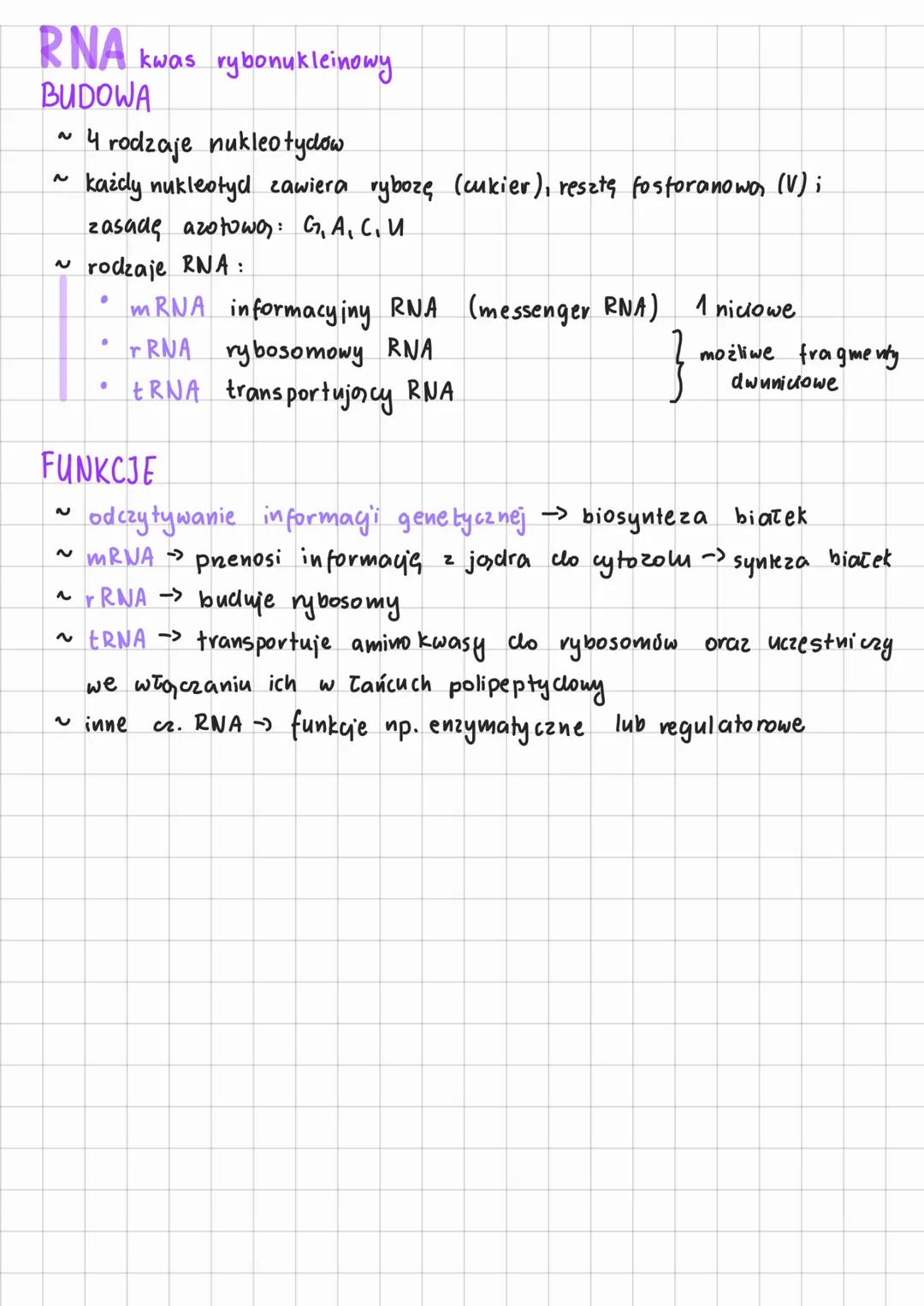 # NUKLEOTDY I
# KWASY NUKLEINOWE
NUKLEOTYDY:
~
2 węgla C, wodoru H, Henu O, azotu Ni fosforu P
~
2
każdy zbudowany 2:
* pięciowęglowego c