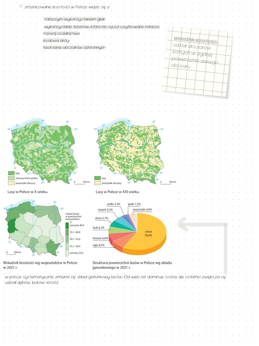 lasy
lasy występujące w Polsce
charakterystyczne dla Klimat u Polski są lasy mieszane i liściaste (zajmowały kiedyś 15% pow. Polski)
rozwój
