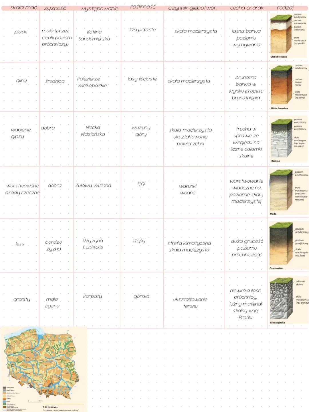 # gleby
# powstawanie gleby i poziomy glebowe
powstawanie gleby trwa tysiące lat
w tym czasie zachodzą 3 procesy
> rozpad skały na coraz