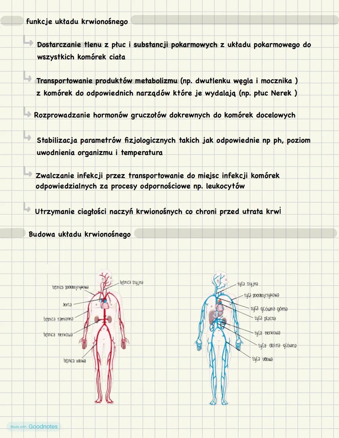# Układ krążenia
Funkcje krwi
1) Transportowa - Krew transportuje m.in tlen, dwutlenek węgla,
substancje pokarmowe, produkty przemiany mat