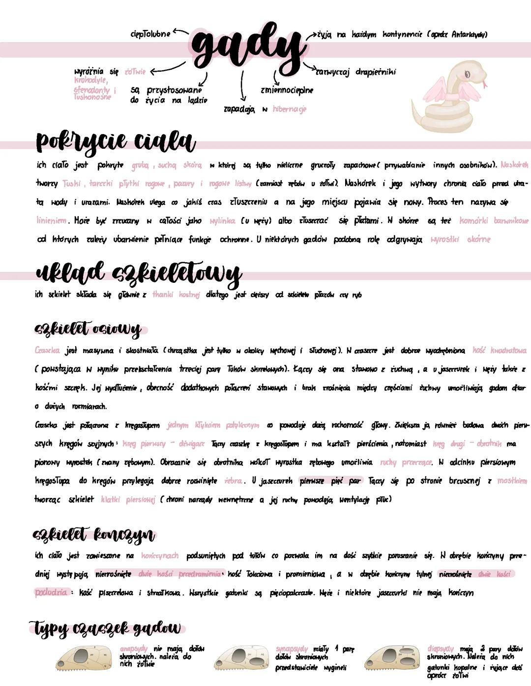 gady biologia rozszerzona
