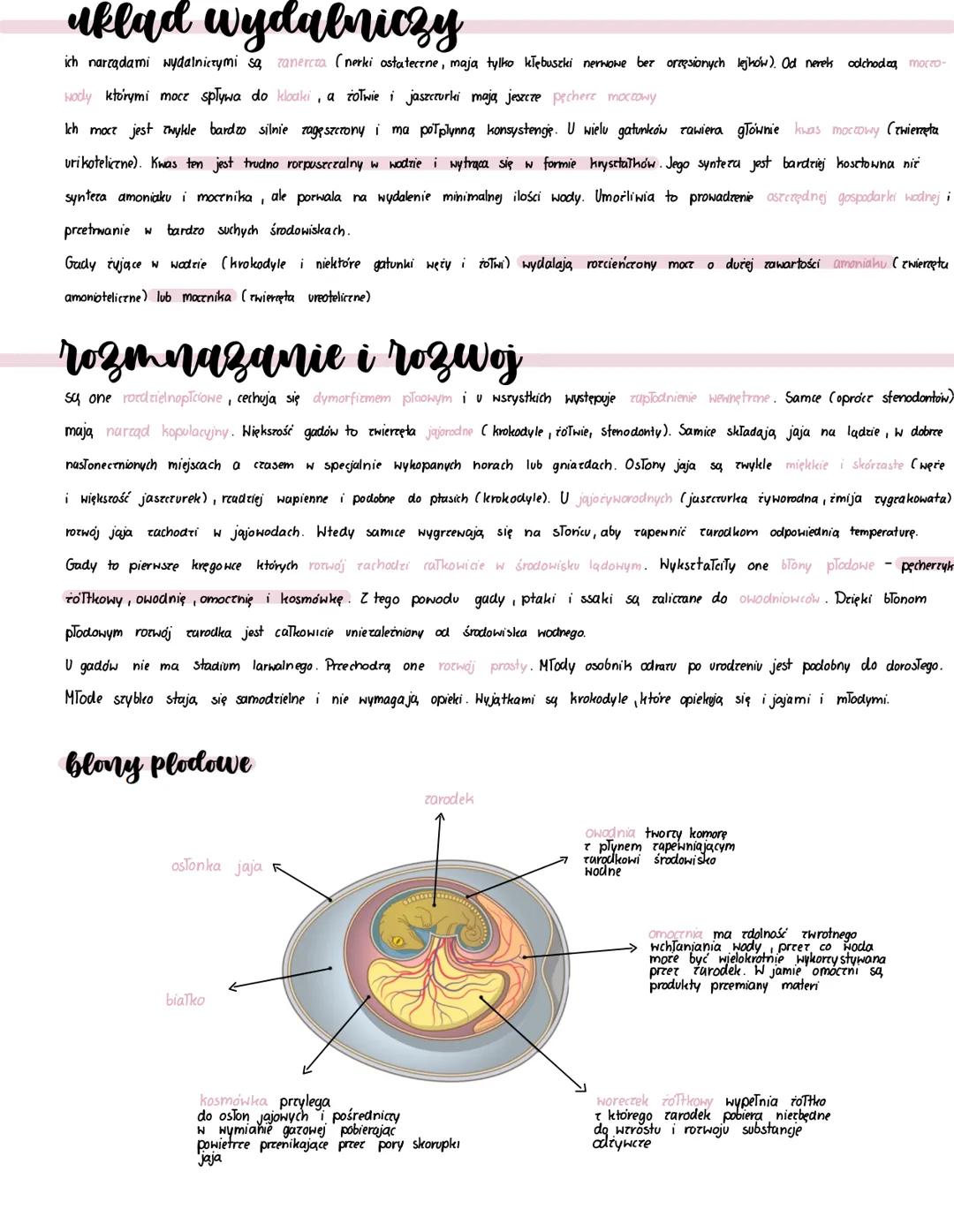 ciepTolubne
wyróżnia się to Twie
krokodyle,
żyja na kardym kontynencie (oprócz Antarktydy)
gady-
sfenodonty i są przystosowane
Tushonosne do