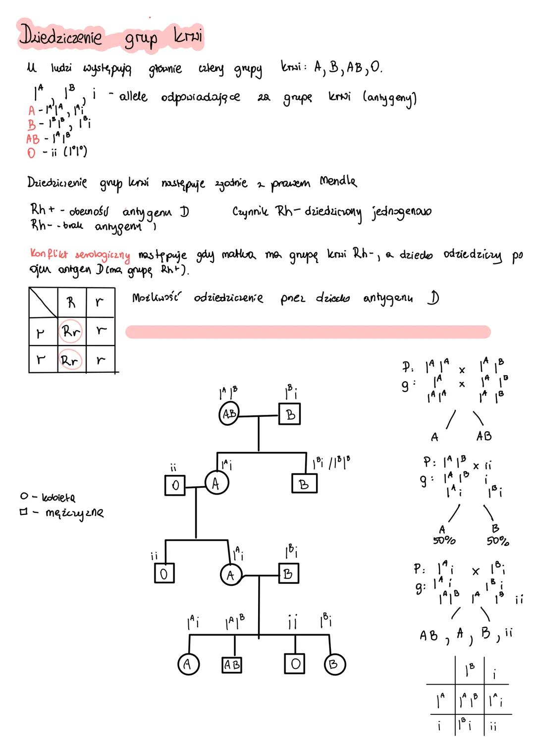 # Dziedziczenie grup krwi
U ludzi występują głownie cztery gripy krui: A, B, AB, O.
$I^A I^A$
$I^B$
i - allele odpowiadają ce za grupe krwi
