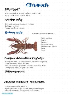 Know Skorupiaki thumbnail